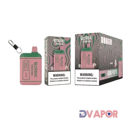 CLEARANCE (Non-Refundable) Rover Robox 6000 Puff Dual Mesh Coil