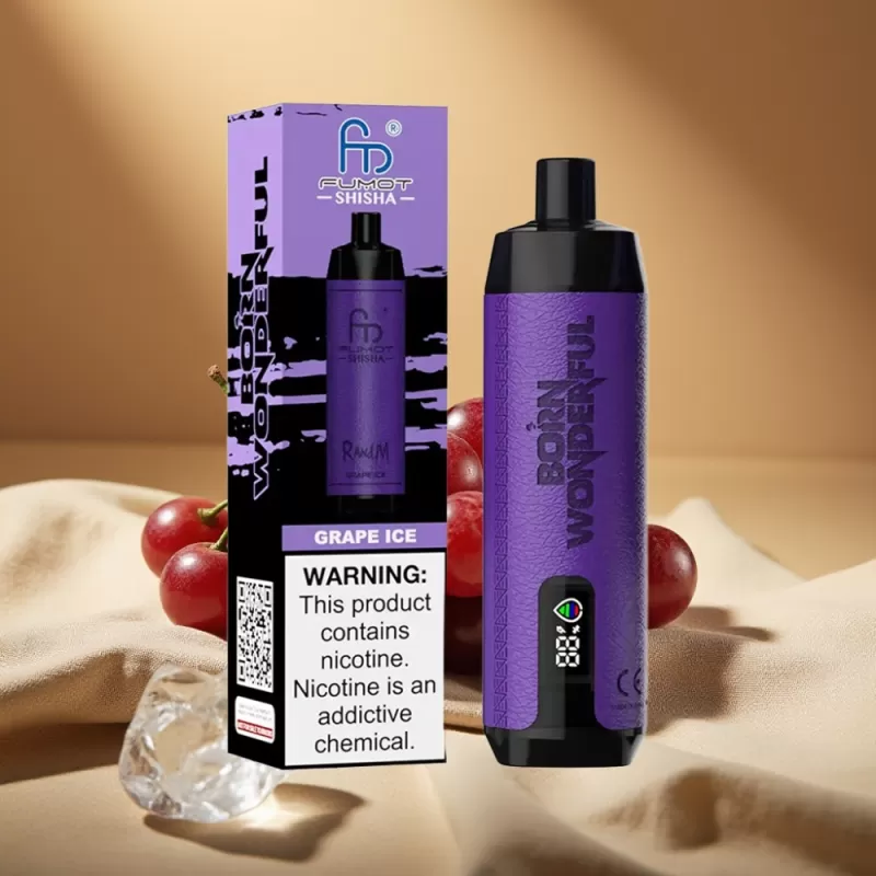 RandM Fumot Shisha 10000 Puffs Disposable Vape with LED & Type-C Port – Grape Ice - Image 2