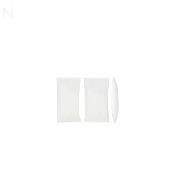 Rodman Dry+ Nicotine Pouches - Mango Ice / 6mg - Image 2