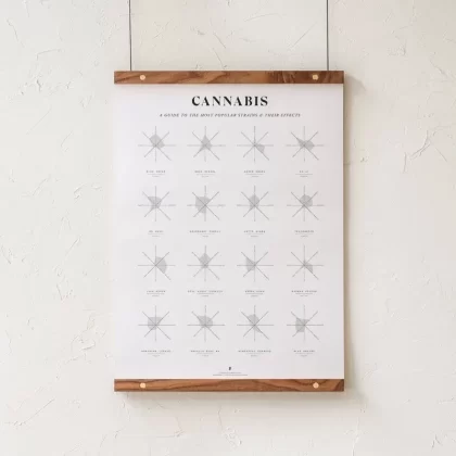 GoldLeaf Cannabis Effects Wheel Chart Print - Size#18x24">24x36"~Options#Print Only>Print + Walnut Hanging Rails>Print + Maple Hanging Rails>Print + Black Frame>Print + Natural Frame
